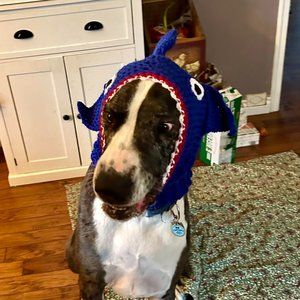 Crochet Shark Dog Hat/Snood